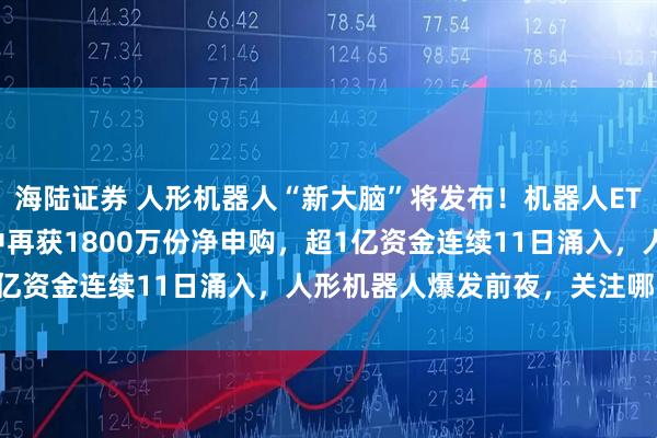 海陆证券 人形机器人“新大脑”将发布！机器人ETF基金(159213)盘中再获1800万份净申购，超1亿资金连续11日涌入，人形机器人爆发前夜，关注哪些机遇