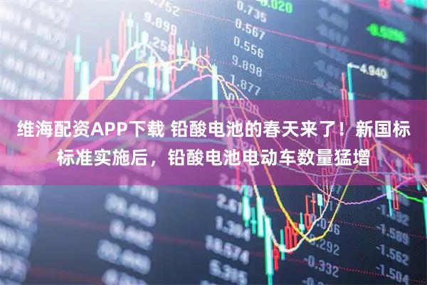 维海配资APP下载 铅酸电池的春天来了!新国标标准实施后,铅酸电池电动车数量猛增